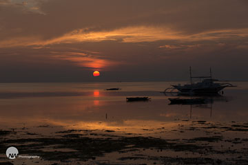1H4A8663.jpg